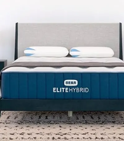 bear-elite-hybrid