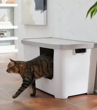 frisco-multi-function-covered-cat-litter-box