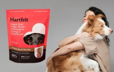 Hartfelt Angus beef Review : How This Superfood Transformed by Dog Lifestyle