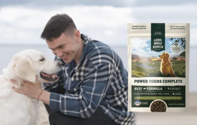 Power Foods Complete Review: Could This Be The Answer To My Dog’s Health Struggles?