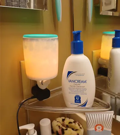 Vanicream Gentle Facial Cleanser