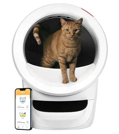 whisker-litter-robot-4 w/step-cat-litter-box