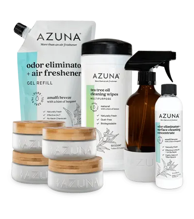 whole home glass & wipes Premium Starter Kit