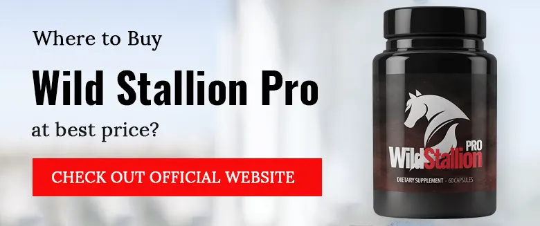 Wild Stallion Pro-Banner