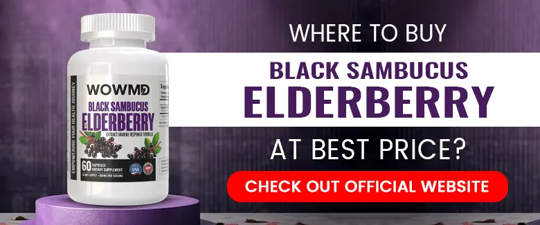 wowmd-black-sambucus-elderberry extract-banner
